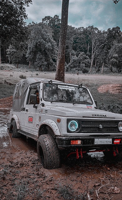 评为球队敲 评为球队敲