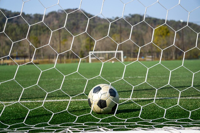 为球队带来 为球队带来