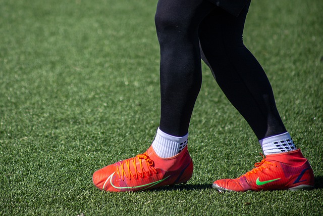 斗力和可持 斗力和可持