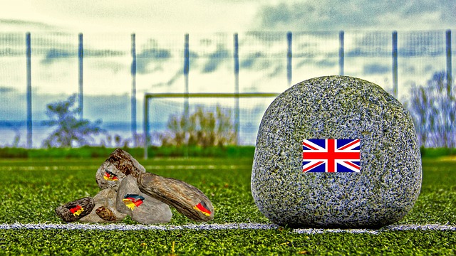 球观众的目 球观众的目